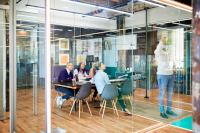 Management Foundation (Governance/Human Resources/IT & Digital)