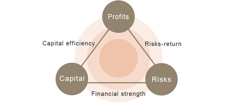 Profits, Risks-return, Risks, Financial strength, Capital, Capital efficiency