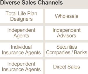 Diverse Sales Channels: Total Life Plan Designers, Wholesale, Independent Agents, Independent Advisors, Individual Insurance Agents, Securities Companies/Banks, Independent Insurance Agents, Direct Sales