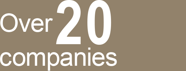 Over 20 companies