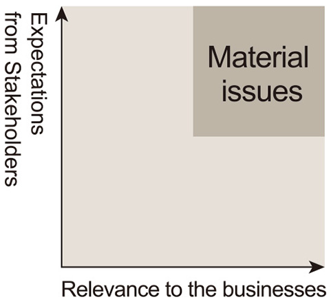 figure: Selection process of material issues