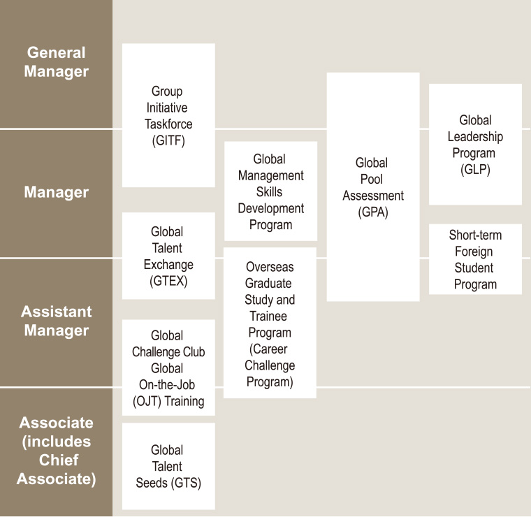 figure : Global Human Capital Development Programs