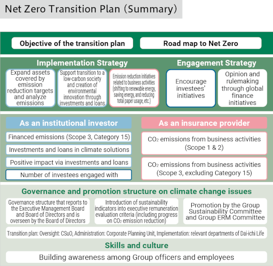 Net Zero Transition Plan (Summary)