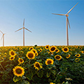 Climate Change and Natural Capital Initiatives: Response to TCFD and TNFD