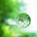 Contributing to Global Climate Change and Natural Capital Initiatives (Support for GFANZ)
