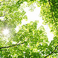 Group Sustainability Approach (Core Materiality)