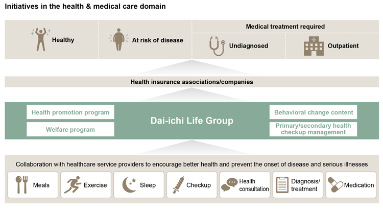 Initiatives in  the health & medical care domain