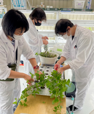 Employment of people with disabilities on farms