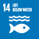 14.Life below water