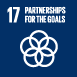 17.Partnerships for the Goals