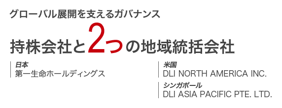 グローバル展開を支えるガバナンス 持株会社と2つの地域統括会社