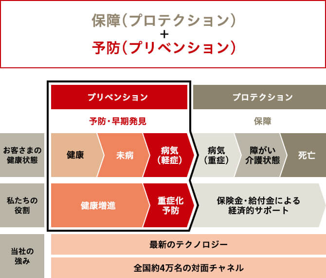 図：保障（プロテクション）+予防（プリベンション）